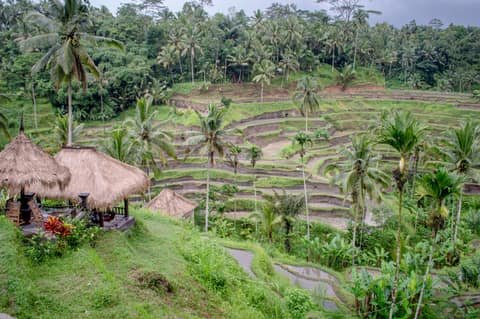 Indonesia