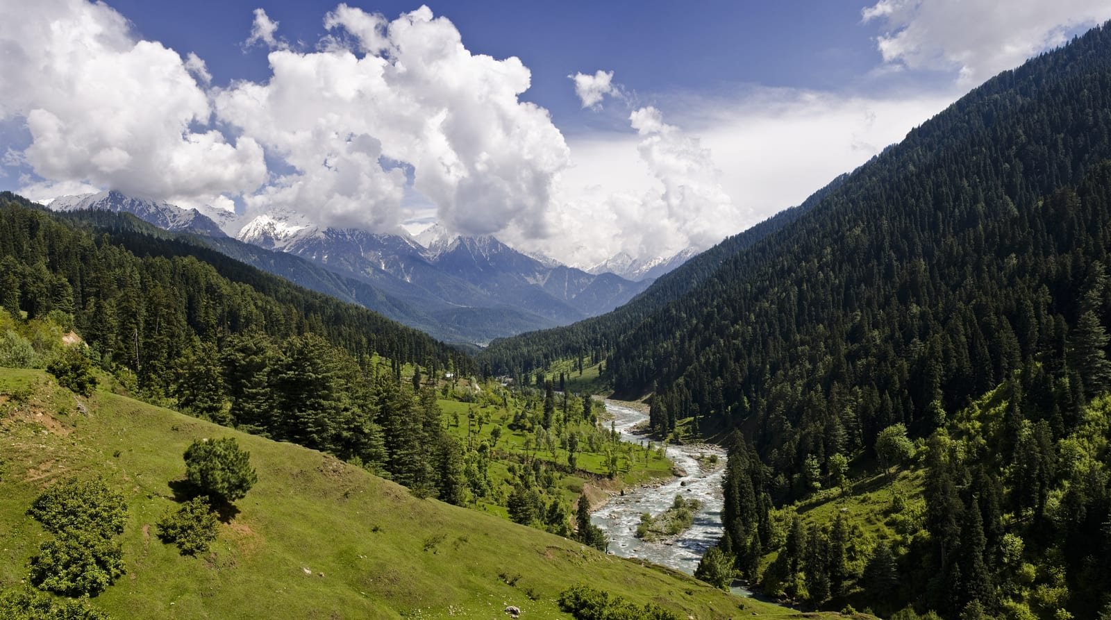 Welcomhotel by ITC Hotels, Pine N Peak