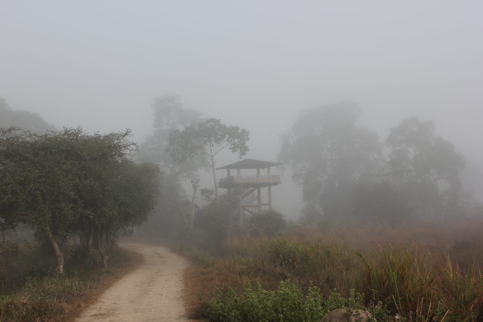 Diphlu River Lodge