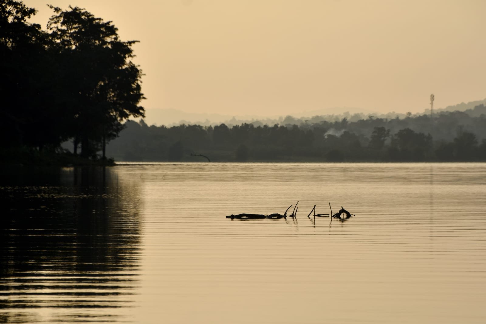 Orange County, Kabini